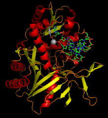 ساختار و عمل پروتئین ها 